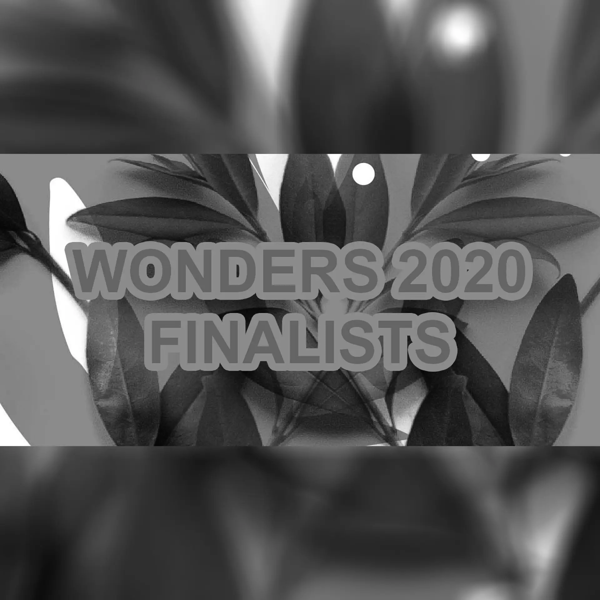 Wonders 2020 Finalists